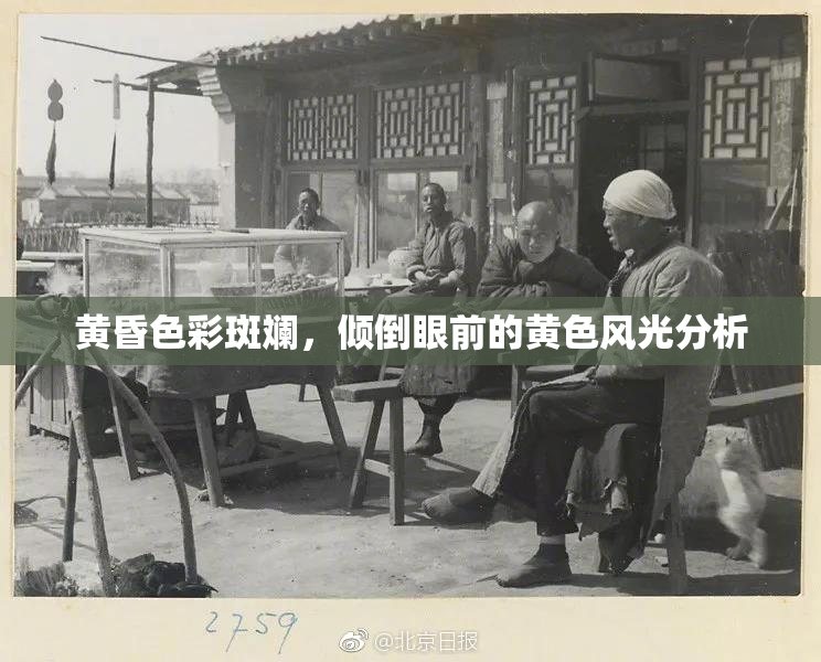 黄昏色彩斑斓，倾倒眼前的黄色风光分析