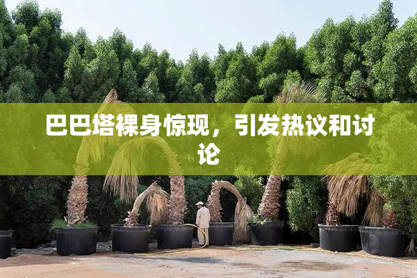巴巴塔裸身惊现，引发热议和讨论