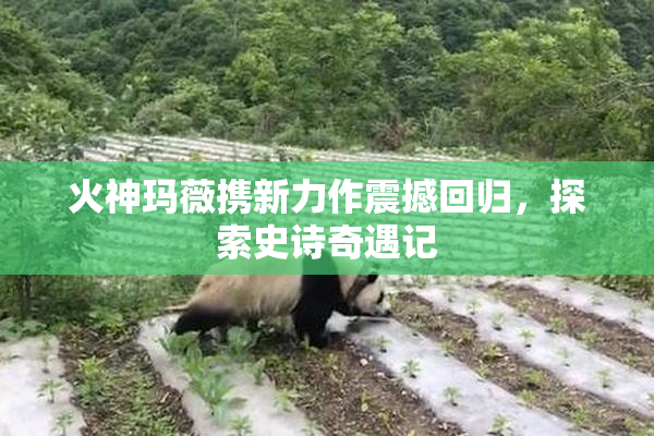 火神玛薇携新力作震撼回归，探索史诗奇遇记