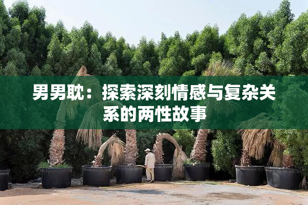 男男耽：探索深刻情感与复杂关系的两性故事
