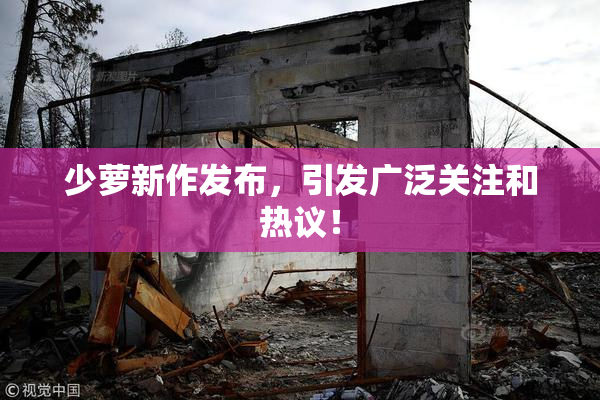 少萝新作发布，引发广泛关注和热议！