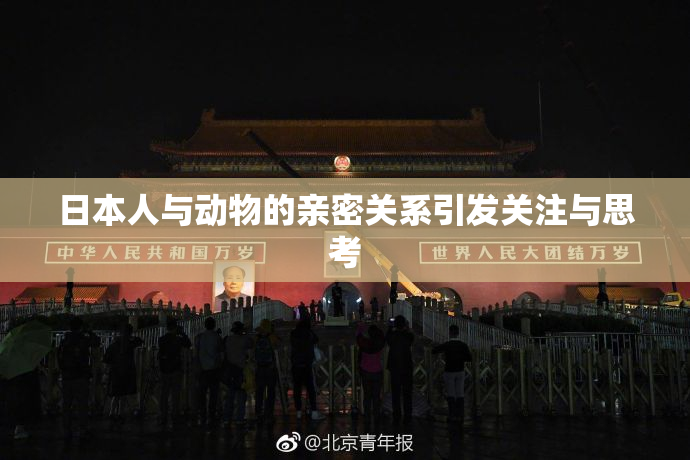 日本人与动物的亲密关系引发关注与思考