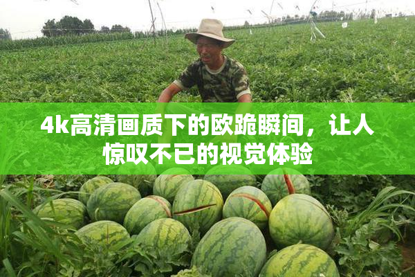 4k高清画质下的欧跪瞬间，让人惊叹不已的视觉体验