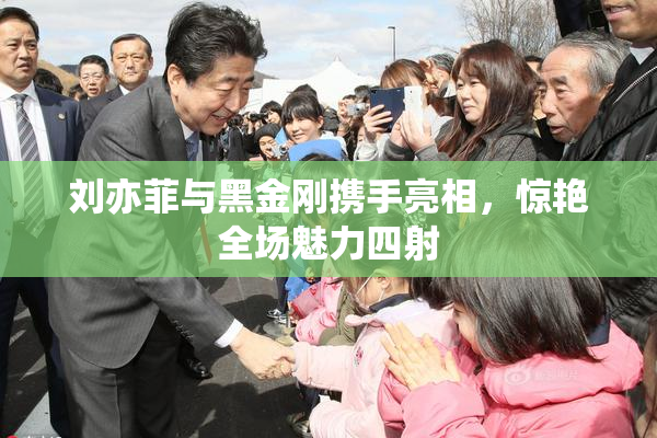 刘亦菲与黑金刚携手亮相，惊艳全场魅力四射