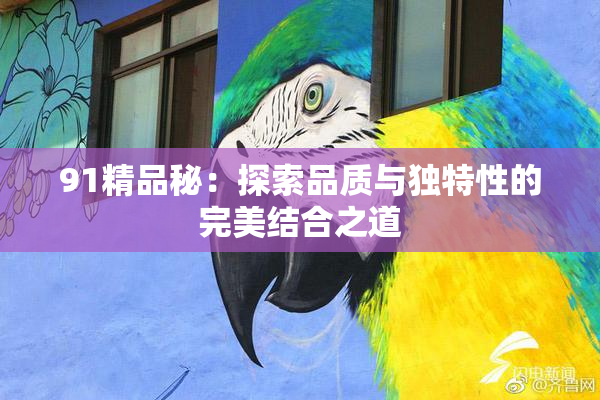91精品秘：探索品质与独特性的完美结合之道