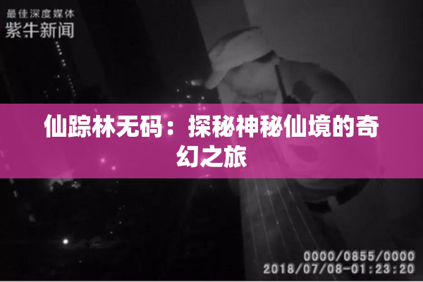 仙踪林无码：探秘神秘仙境的奇幻之旅