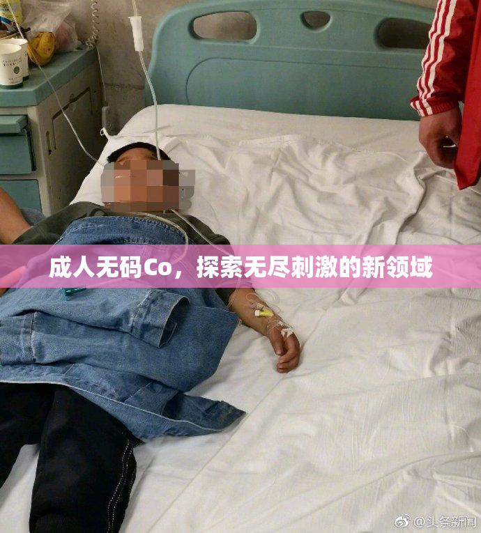 成人无码Co，探索无尽刺激的新领域