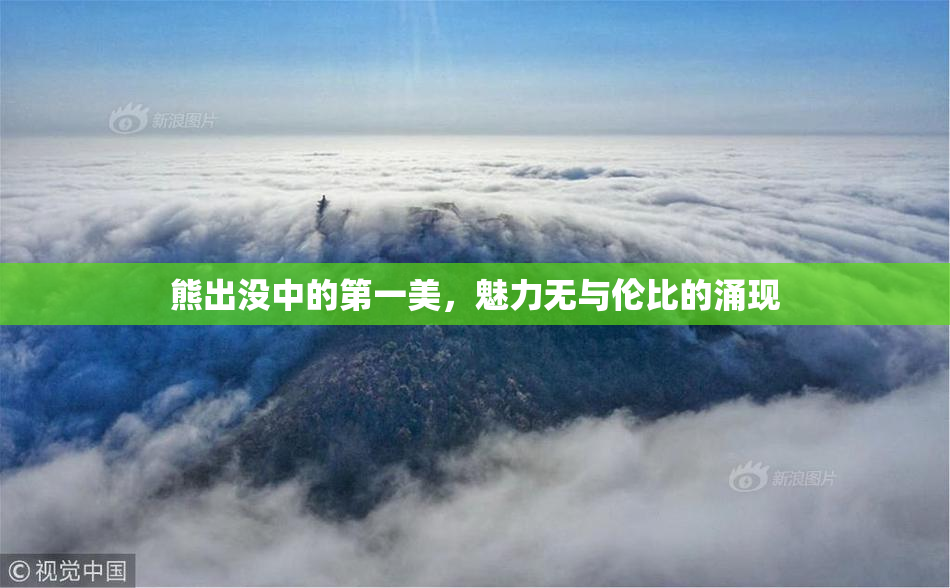 熊出没中的第一美，魅力无与伦比的涌现
