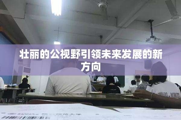 壮丽的公视野引领未来发展的新方向