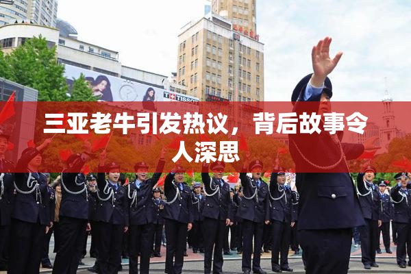 三亚老牛引发热议，背后故事令人深思