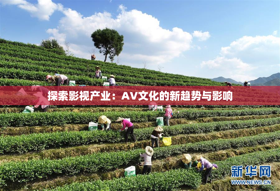 探索影视产业：AV文化的新趋势与影响