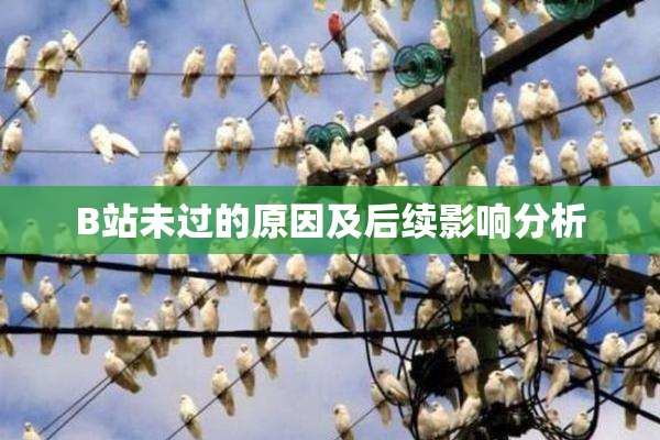 B站未过的原因及后续影响分析