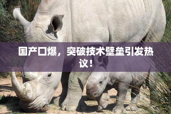 国产囗爆，突破技术壁垒引发热议！