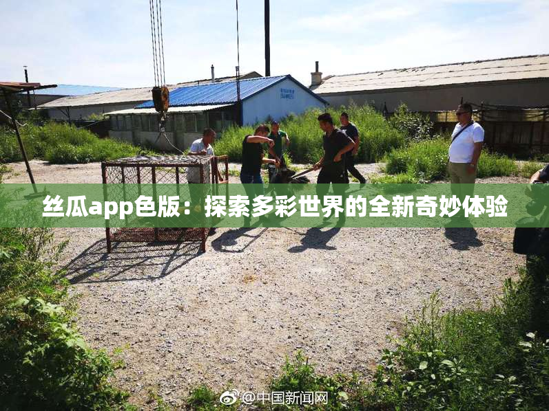丝瓜app色版：探索多彩世界的全新奇妙体验