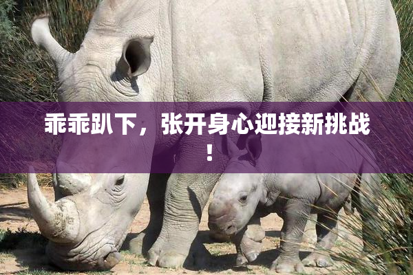 乖乖趴下，张开身心迎接新挑战！