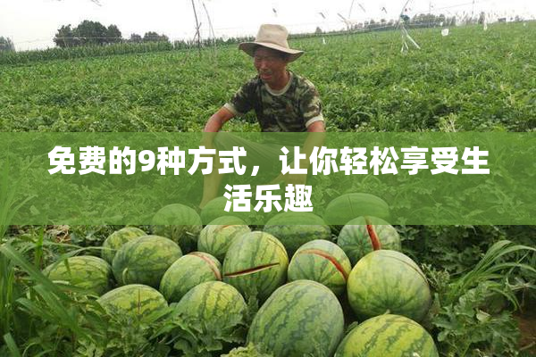 免费的9种方式，让你轻松享受生活乐趣