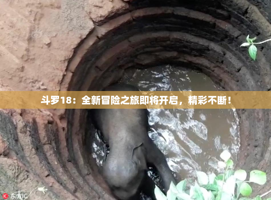 斗罗18：全新冒险之旅即将开启，精彩不断！