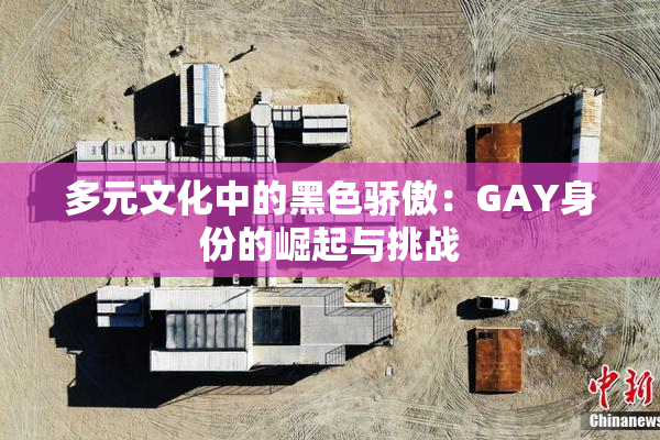 多元文化中的黑色骄傲：GAY身份的崛起与挑战