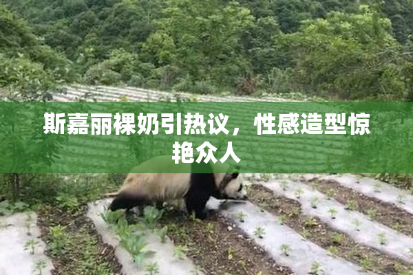 斯嘉丽裸奶引热议，性感造型惊艳众人