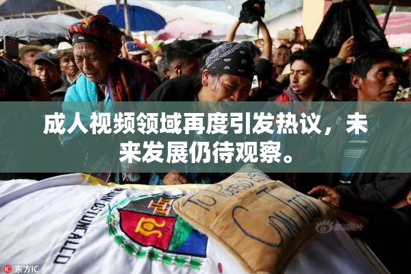 成人视频领域再度引发热议，未来发展仍待观察。