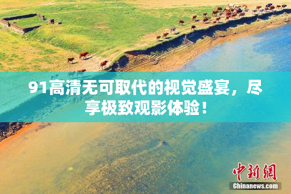 91高清无可取代的视觉盛宴，尽享极致观影体验！