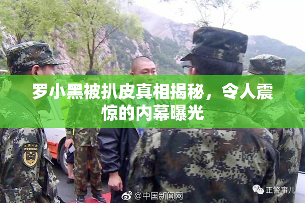 罗小黑被扒皮真相揭秘，令人震惊的内幕曝光