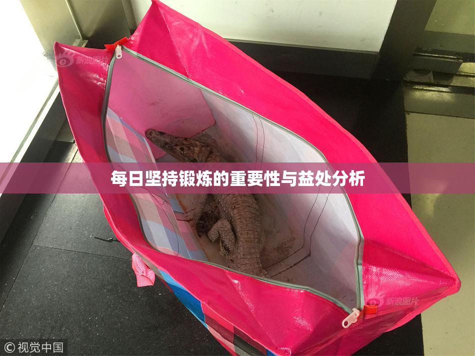 每日坚持锻炼的重要性与益处分析
