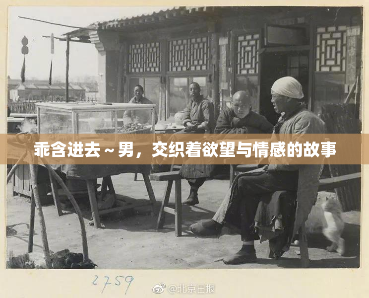 乖含进去～男，交织着欲望与情感的故事