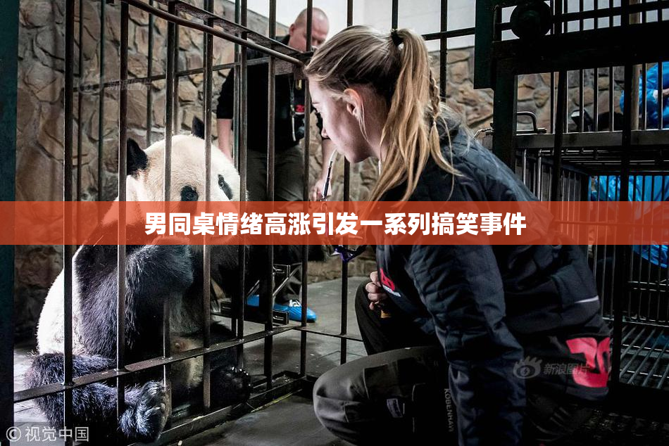 男同桌情绪高涨引发一系列搞笑事件