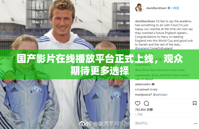 国产影片在线播放平台正式上线，观众期待更多选择