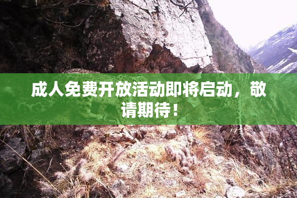 成人免费开放活动即将启动，敬请期待！