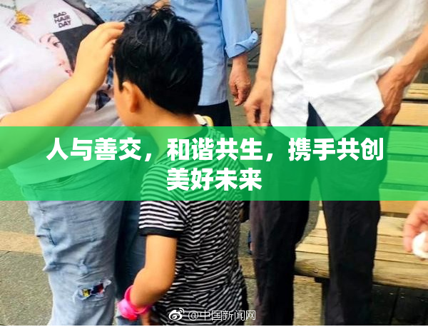 人与善交，和谐共生，携手共创美好未来