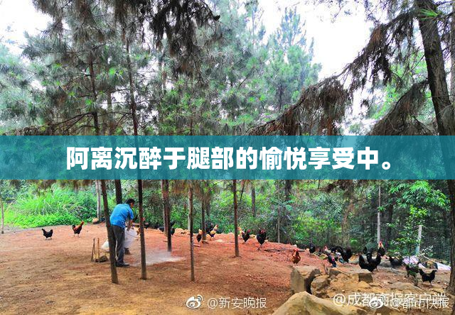阿离沉醉于腿部的愉悦享受中。