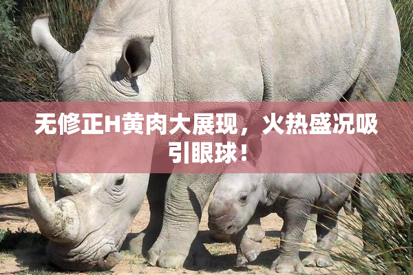 无修正H黄肉大展现，火热盛况吸引眼球！