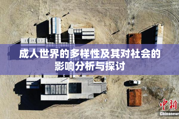 成人世界的多样性及其对社会的影响分析与探讨