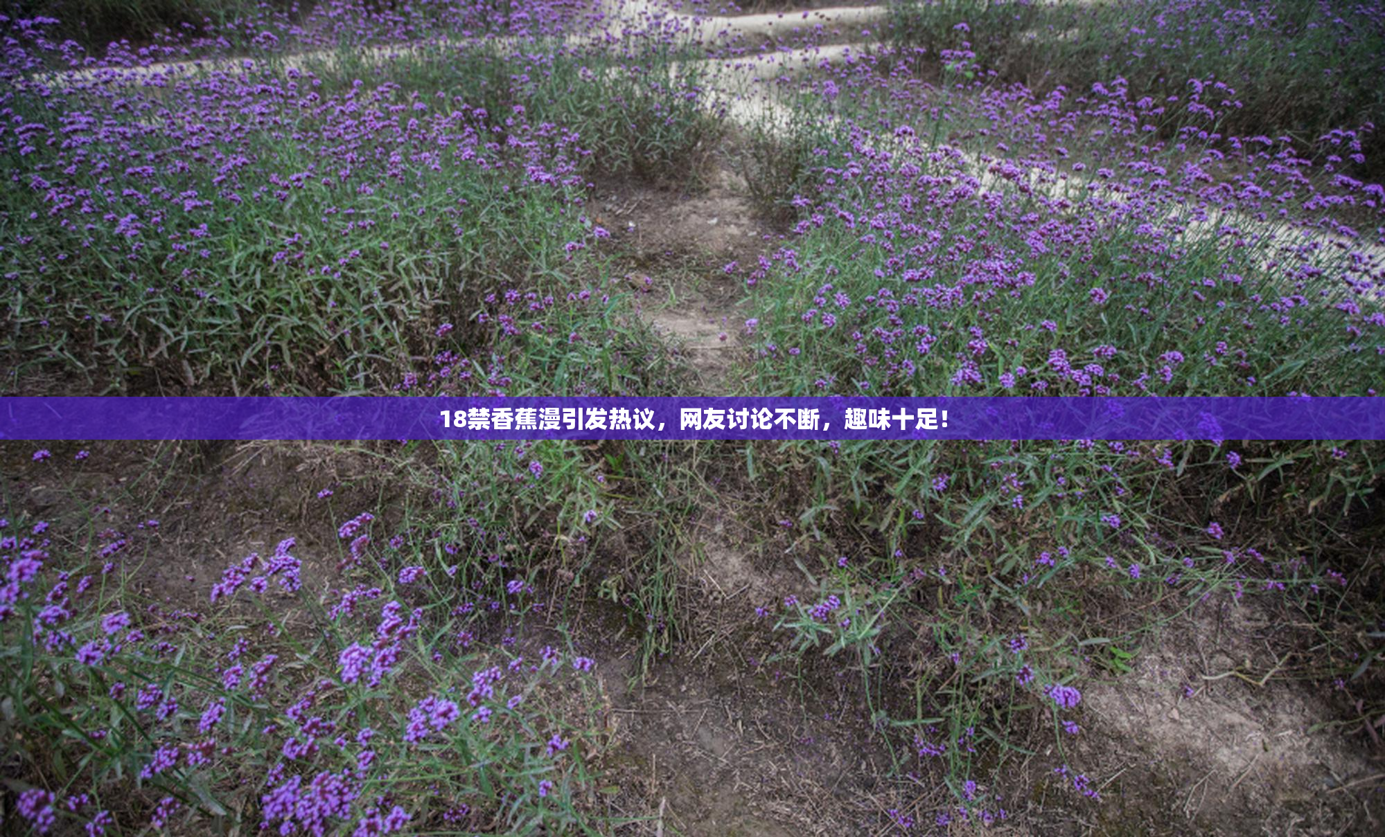 18禁香蕉漫引发热议，网友讨论不断，趣味十足！