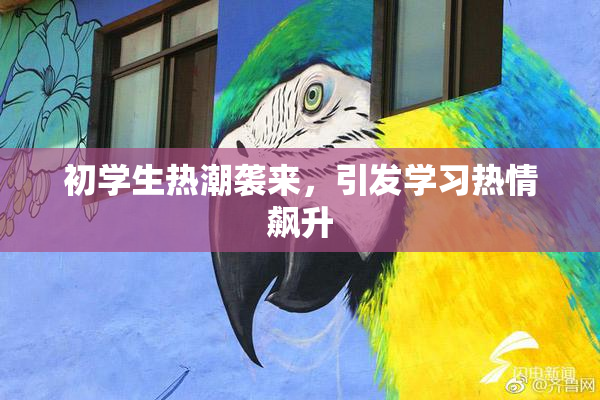 初学生热潮袭来，引发学习热情飙升