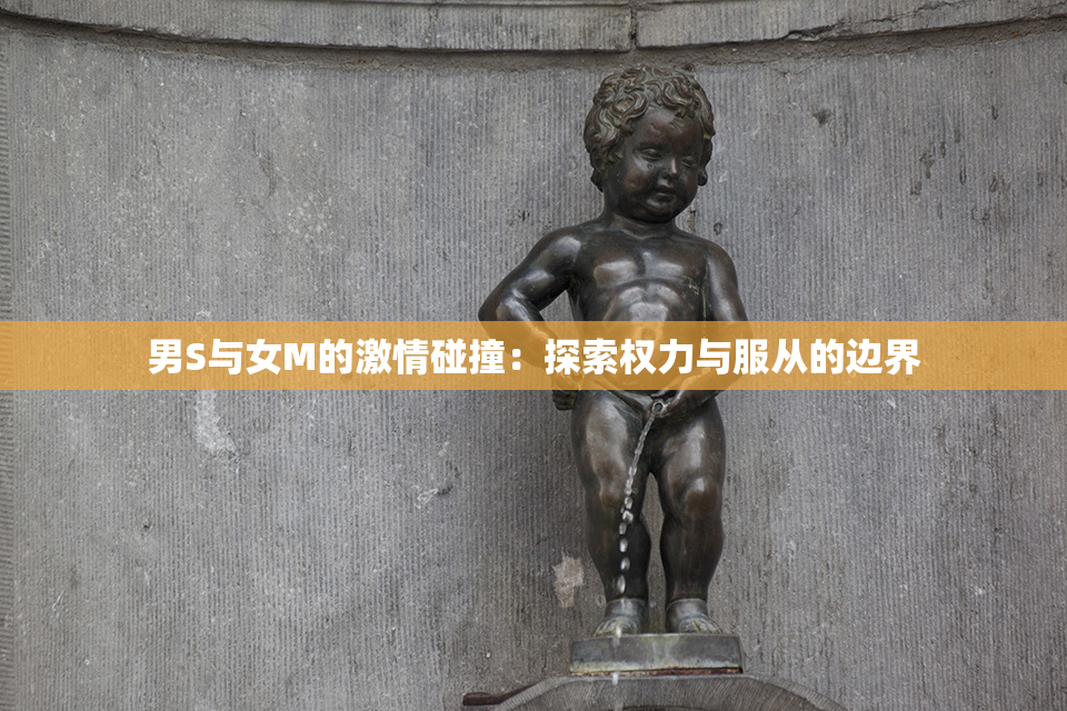 男S与女M的激情碰撞：探索权力与服从的边界