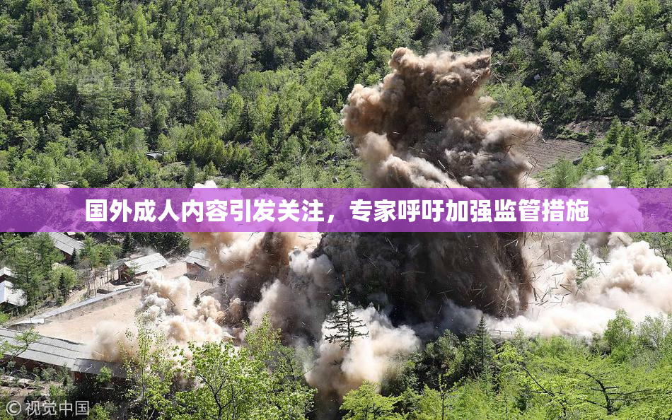 国外成人内容引发关注，专家呼吁加强监管措施
