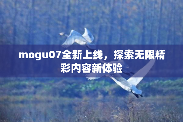 mogu07全新上线，探索无限精彩内容新体验