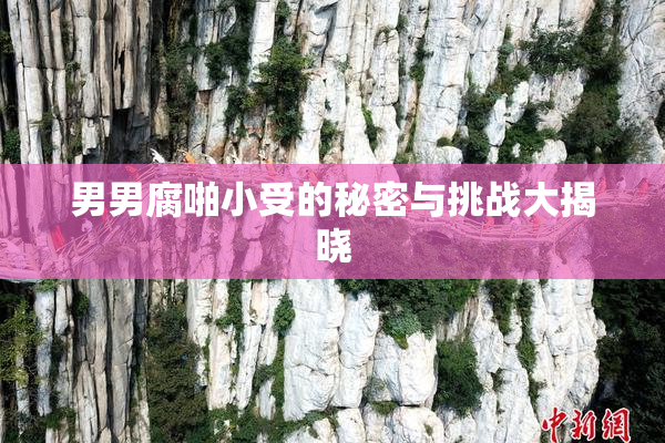男男腐啪小受的秘密与挑战大揭晓