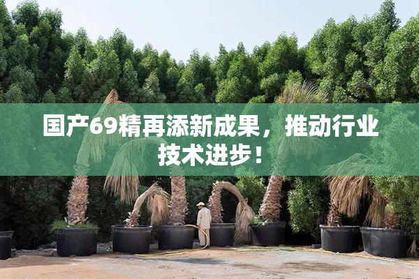 国产69精再添新成果，推动行业技术进步！