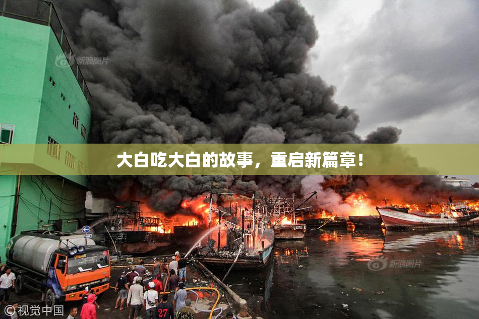 大白吃大白的故事，重启新篇章！