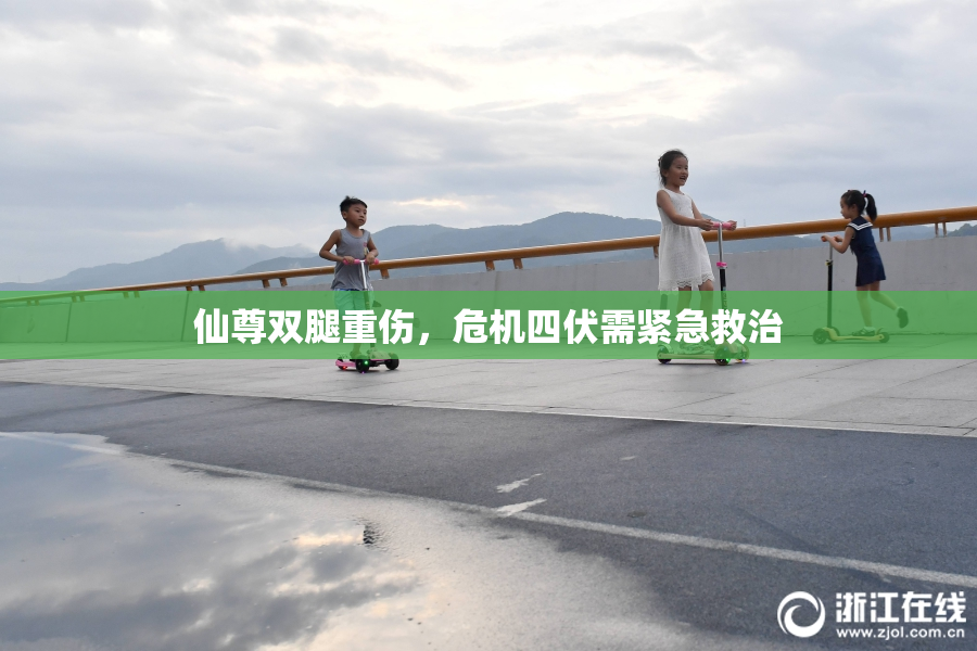 仙尊双腿重伤，危机四伏需紧急救治