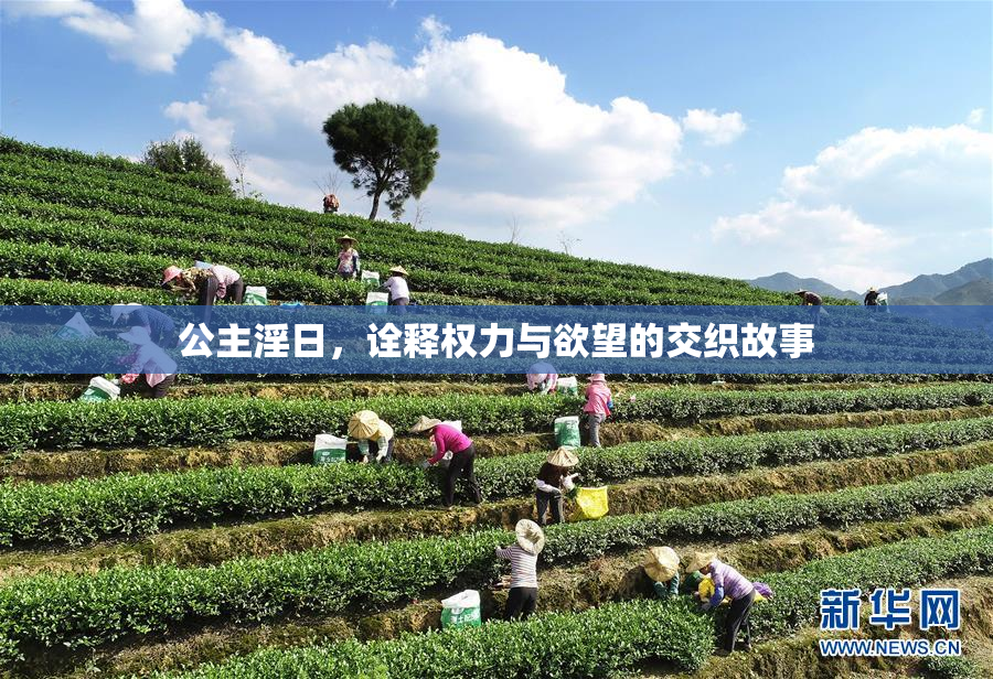 公主淫日，诠释权力与欲望的交织故事