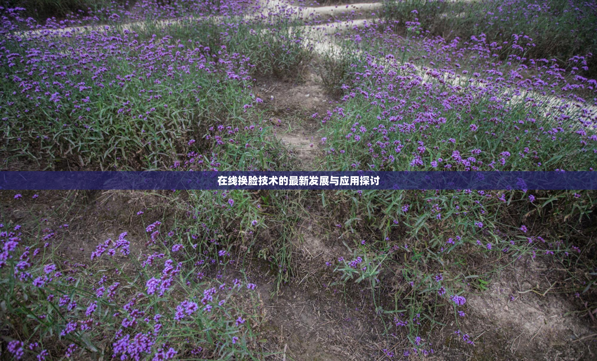 在线换脸技术的最新发展与应用探讨