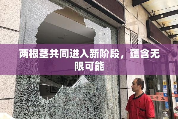 两根茎共同进入新阶段，蕴含无限可能