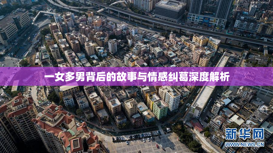 一女多男背后的故事与情感纠葛深度解析