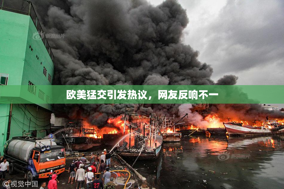 欧美猛交引发热议，网友反响不一