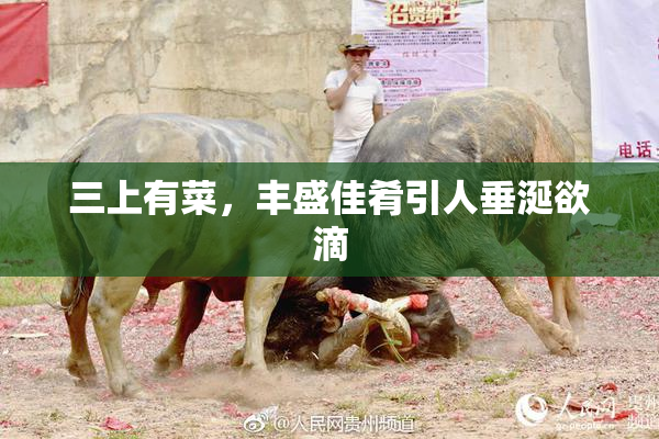三上有菜，丰盛佳肴引人垂涎欲滴